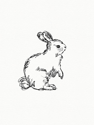 Picture of VINTAGE HARE