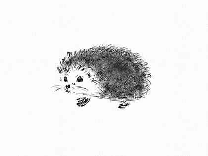 Picture of HEDGEHOG