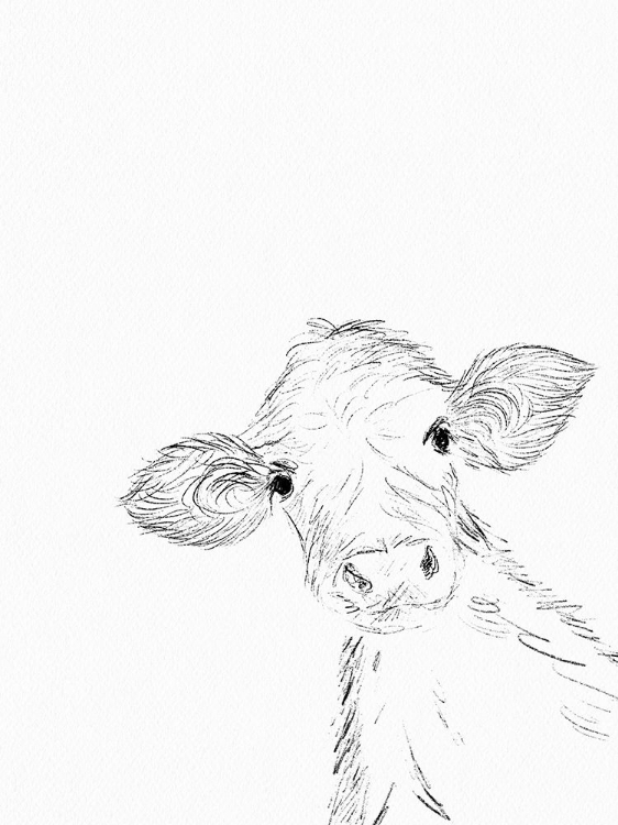 Picture of HELLO COW