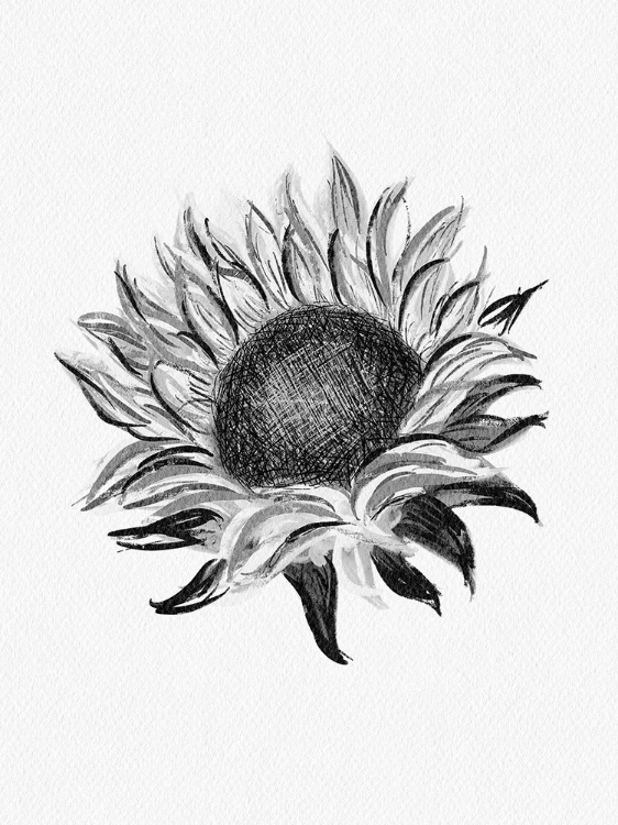 Picture of SUNFLOWER