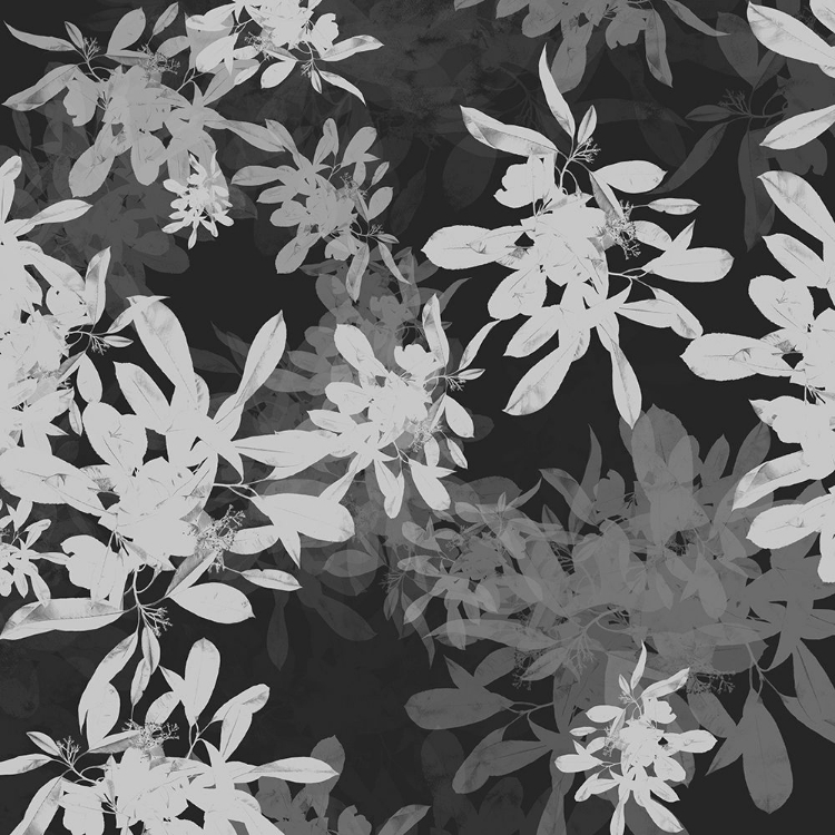 Picture of FOLIAGE DARK 2