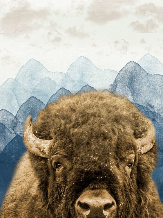 Picture of MOUNTAIN FLUFFY BISON