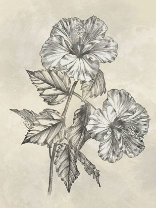 Picture of MUTED FLORAL SKETCHES 2