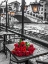 Picture of BUNCH OF RED ROSES ON STREET CAFE TABLE-RIALTO BRIDGE-VENICE-ITALY