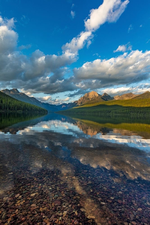 Picture of LATE AFTERNOON AT BOWMAN LAKE IN GLACIER NATIONAL PARK-MONTANA-USA