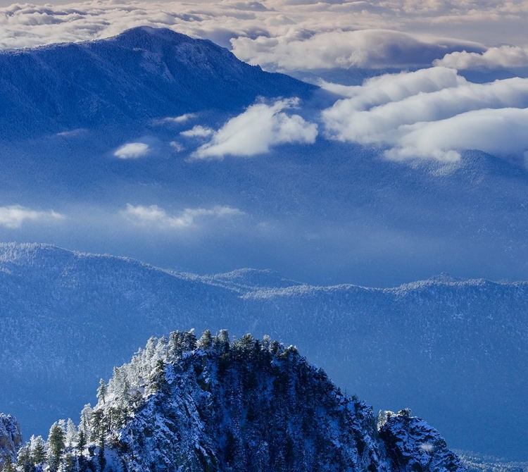 Picture of VIEW FROM THE SANDIA MOUNTAIN WILDERNESS-NEW MEXICO