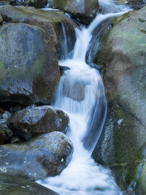 Picture of WASHINGTON STATE CENTRAL CASCADES-MARTIN CREEK FALLS