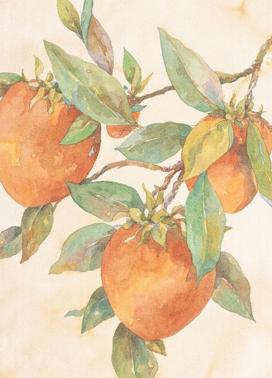 Picture of HANGING PEACHES