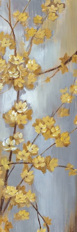 Picture of FORSYTHIA GARDEN I