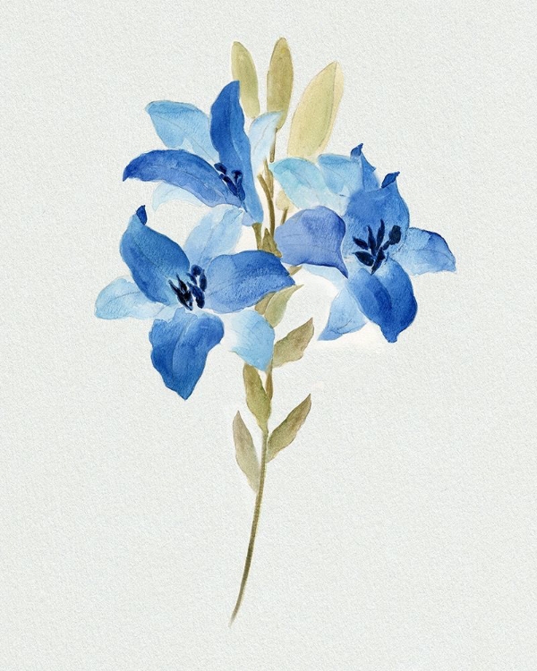 Picture of BLUE BLOSSOM BOTANICAL III