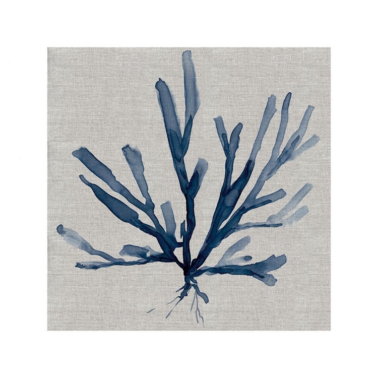 Picture of LINEN SEA CORAL II