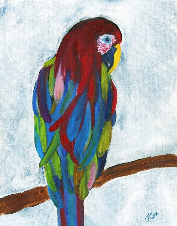 Picture of TROPICAL PARROT