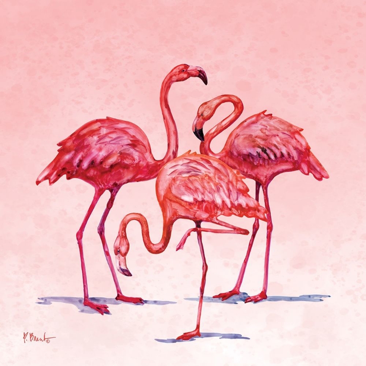 Picture of HILO FLAMINGOS II