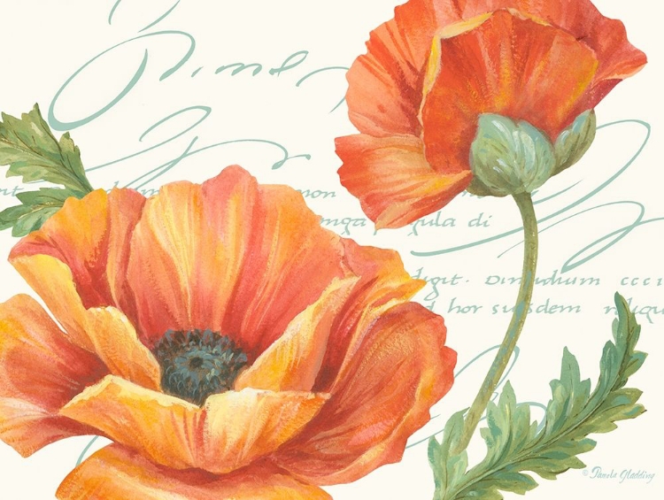 Picture of ORANGE POPPIES II