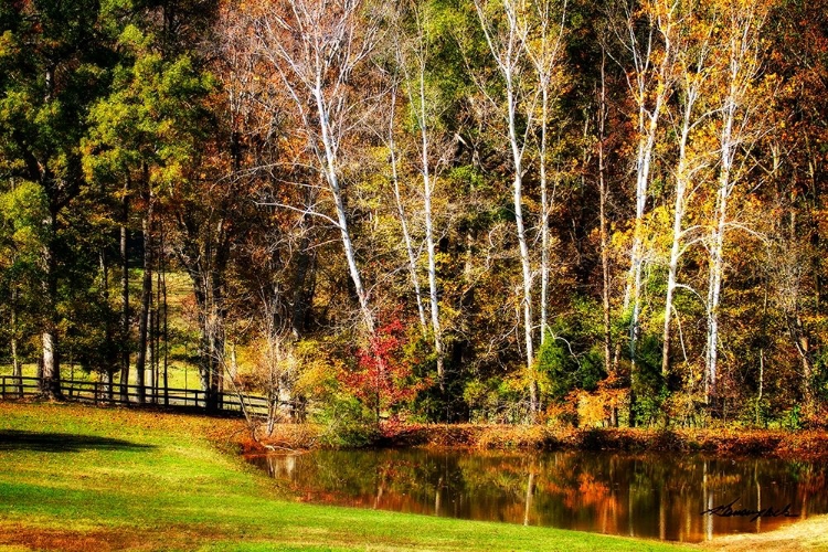 Picture of HORSE POND