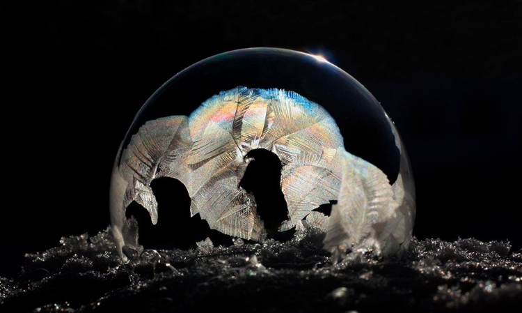 Picture of FROZEN BUBBLE