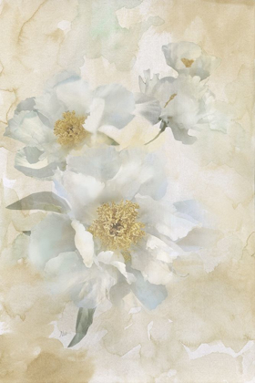 Picture of SOFT PEONIES I