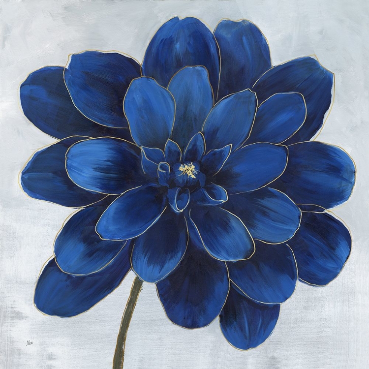 Picture of INDIGO DAHLIA