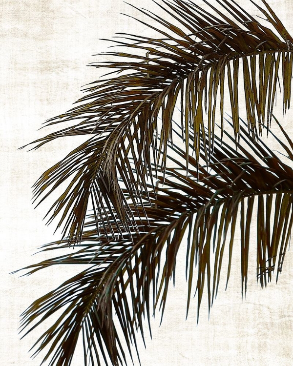 Picture of PALM II