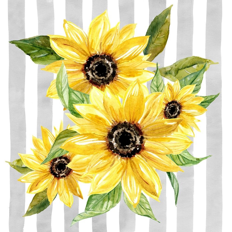 Picture of SUNFLOWER ARRAY I