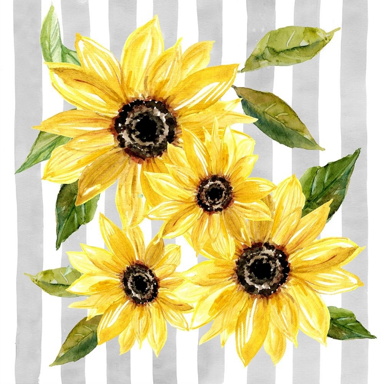 Picture of SUNFLOWER ARRAY II