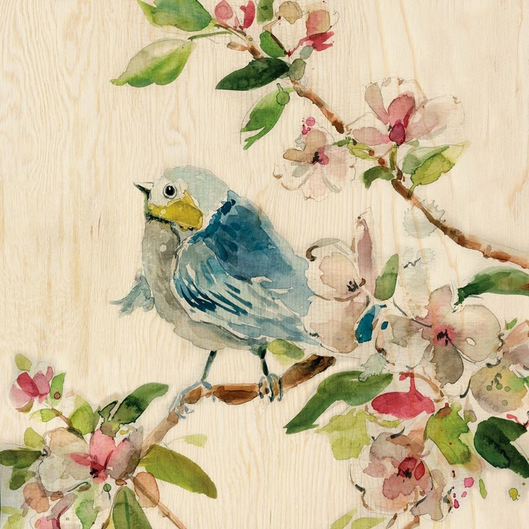 Picture of SPRING BIRDS II