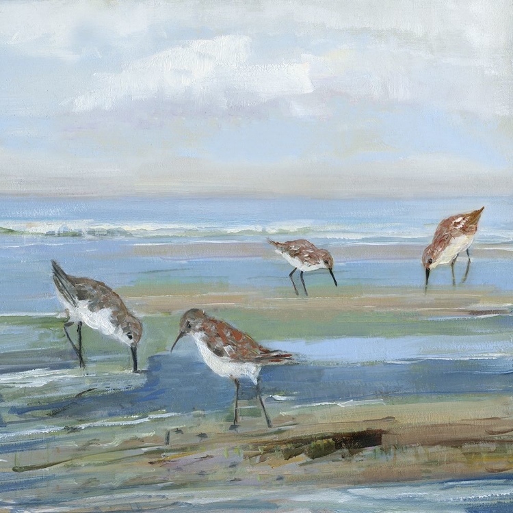 Picture of SEABIRD BEACH III