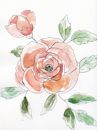 Picture of ROSE CONTOUR