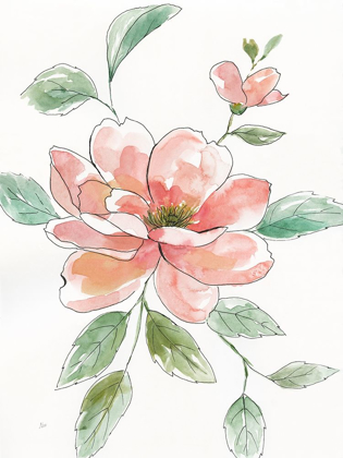 Picture of PEONY CONTOUR