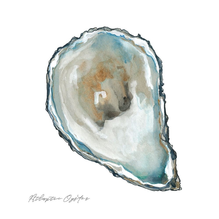 Picture of ATLANTIC OYSTER