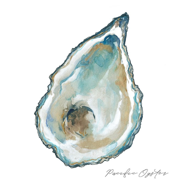 Picture of PACIFIC OYSTER