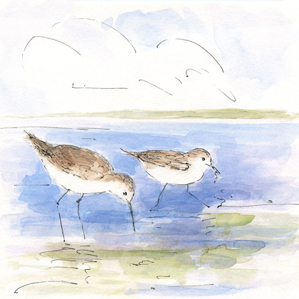 Picture of SKETCHY SHORE BIRDS I