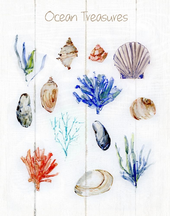 Picture of OCEAN TREASURES