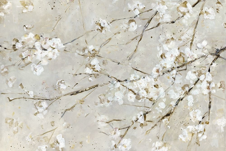 Picture of BLOSSOM CONFETTI