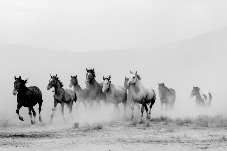 Picture of TOOELE COUNTY