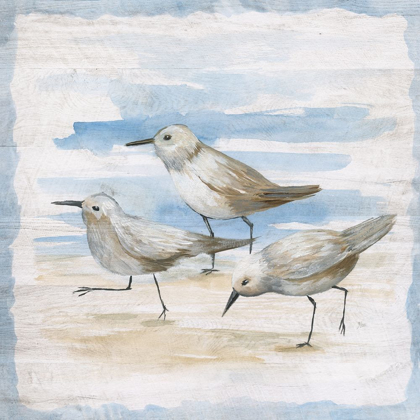 Picture of SHORE BIRDS II