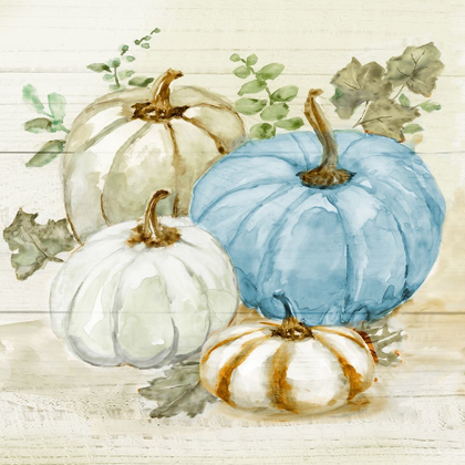 Picture of HARVEST PUMPKINS I