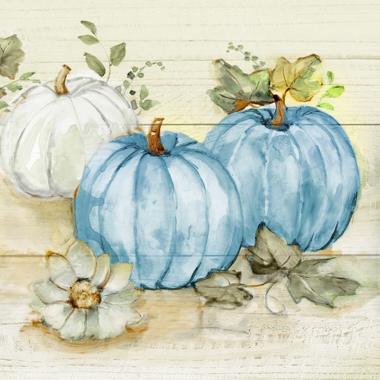 Picture of HARVEST PUMPKINS II