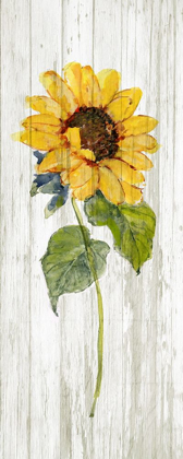Picture of SUNFLOWER IN AUTUMN I