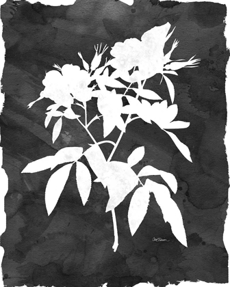 Picture of BLACK BOTANICAL I