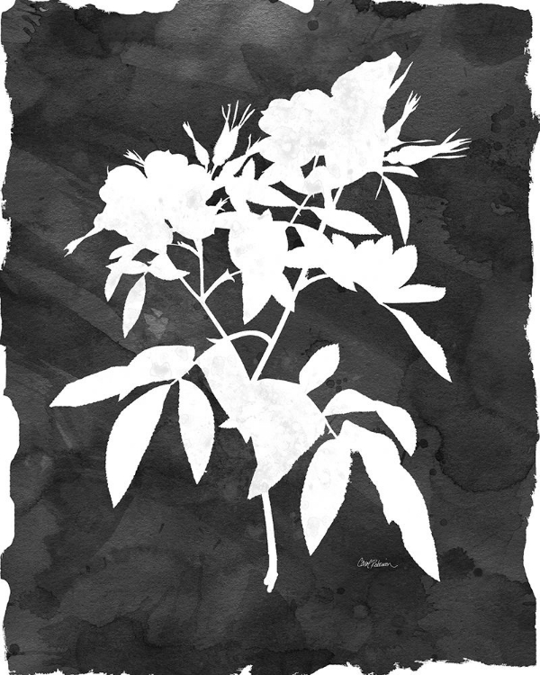 Picture of BLACK BOTANICAL I