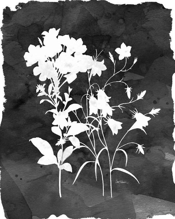 Picture of BLACK BOTANICAL II