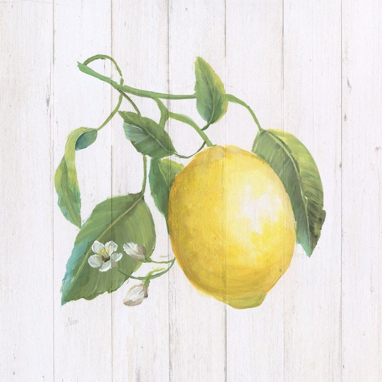 Picture of LEMON FRESH I