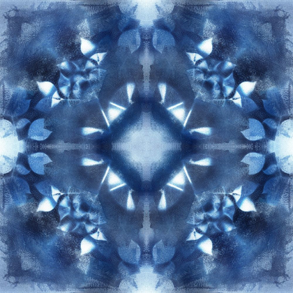 Picture of NAVY NATURE KALEIDOSCOPE II