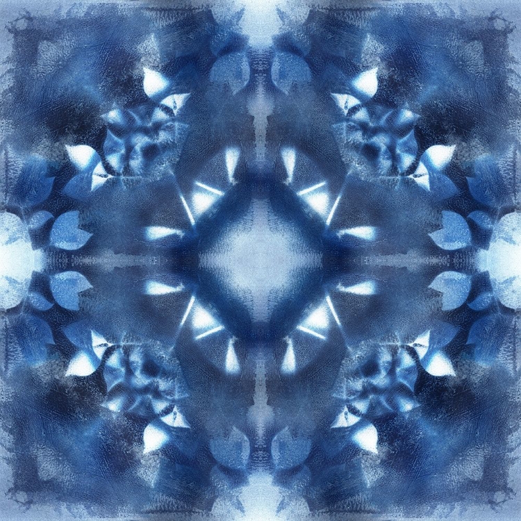 Picture of NAVY NATURE KALEIDOSCOPE II