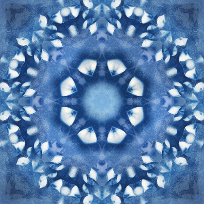 Picture of NAVY NATURE KALEIDOSCOPE III