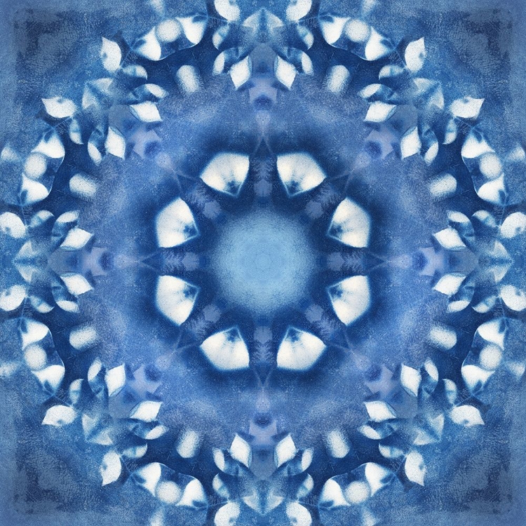 Picture of NAVY NATURE KALEIDOSCOPE III