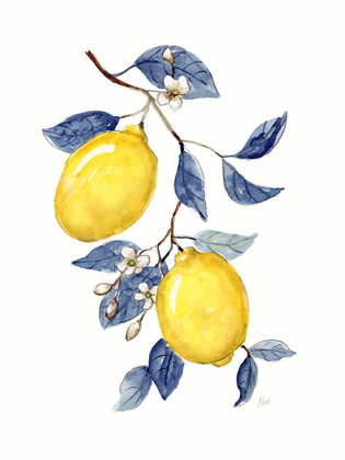 Picture of ODYSSEY LEMONS II