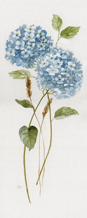 Picture of PETITE BLUE HYDRANGEA II