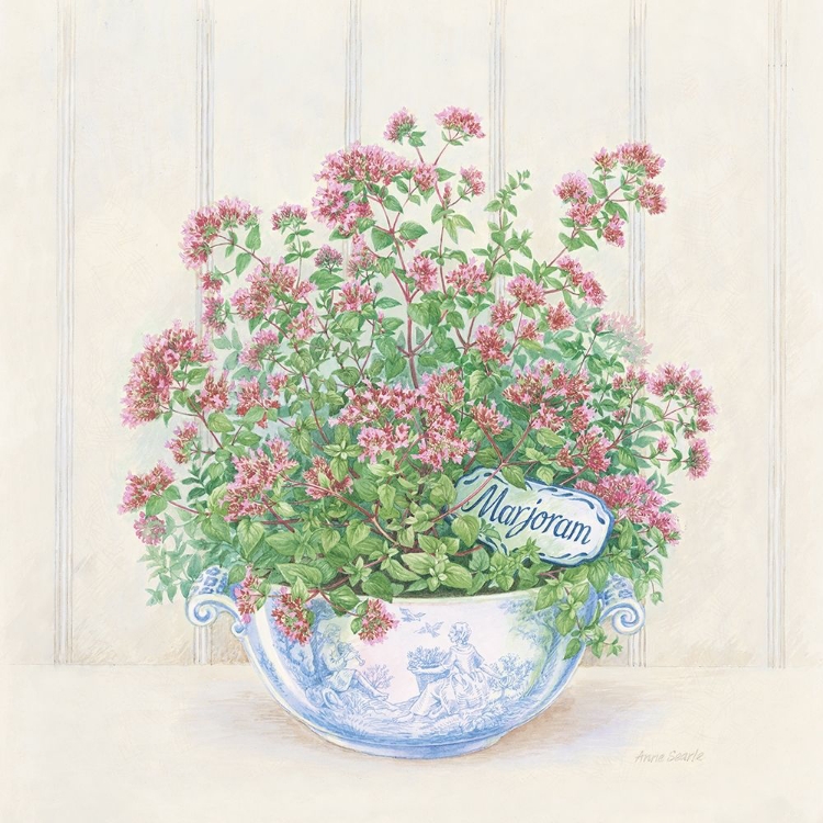 Picture of MARJORAM